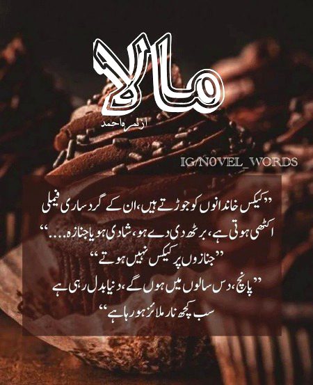 Romantic Novels image