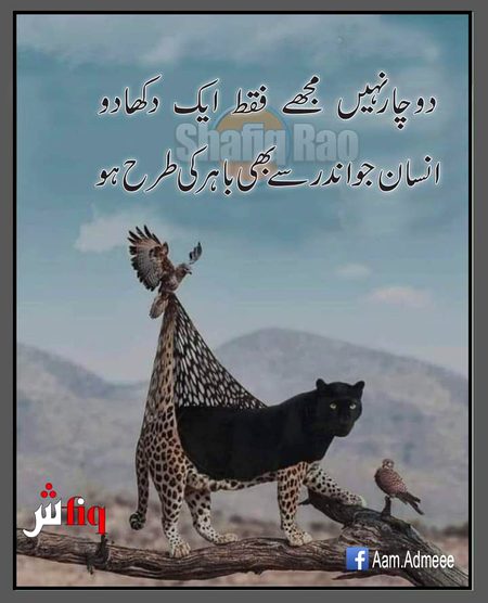 🎑🎑بے وفا