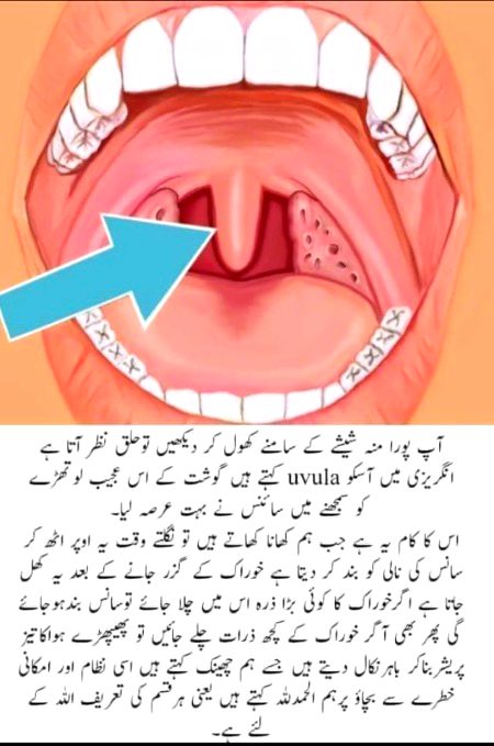 SUBHAN ALLAH
TO TUM APNY PARWARDIGAR KI KON KONSI NEMATON KO JHUTLAO GY