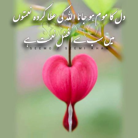Islamic Quotes image