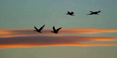 Beautiful Nature image