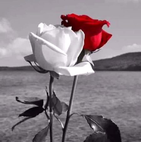 Hmmmm🌷🌼🌷🌼💐