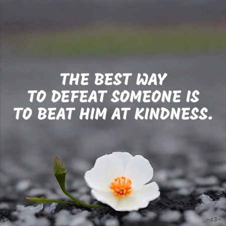 Life Advice image