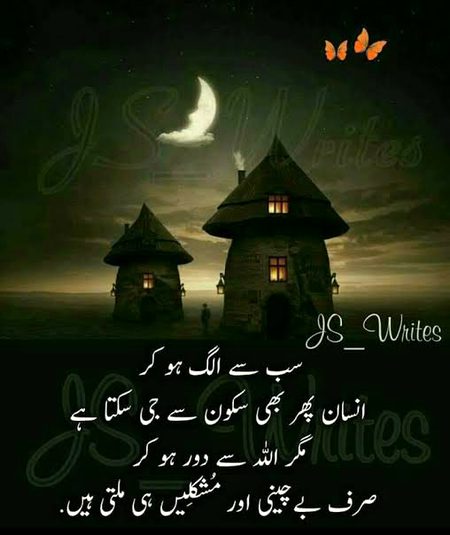 🍁Zoq_Shab🍁