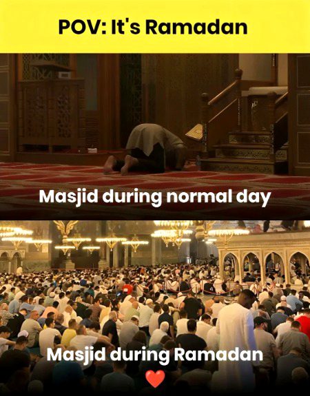 Memes & Satire image