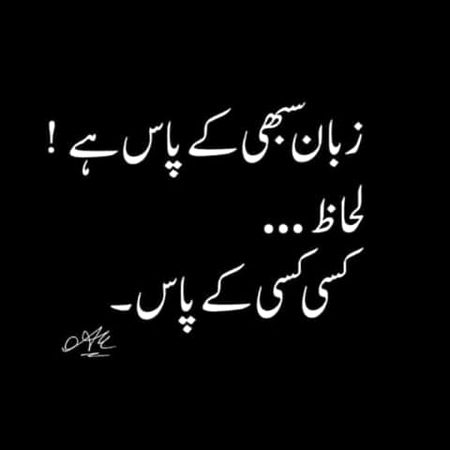 no caption