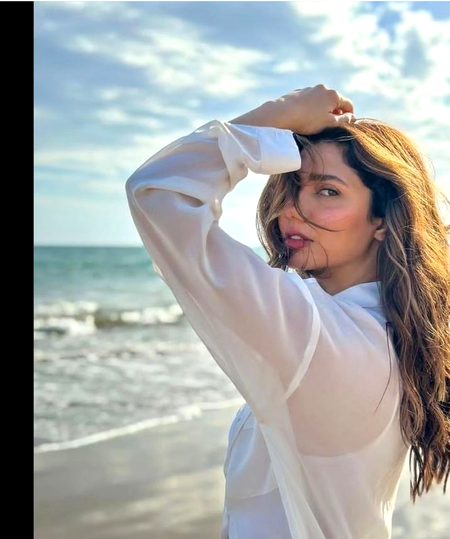 Pakistani Celebs image
