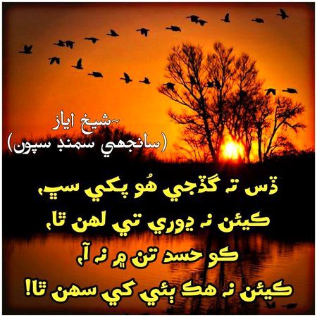Shaikh ayaz