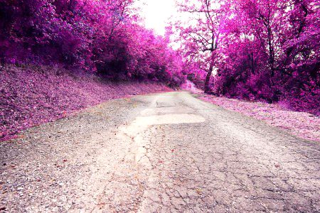Beautiful Nature image