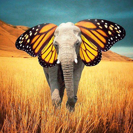 Digital Art image