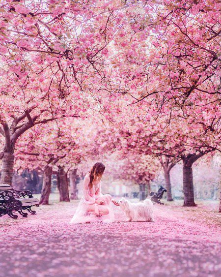 Beautiful Nature image