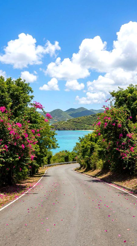 Beautiful Nature image