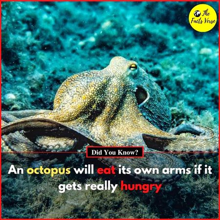 Interesting Posts image