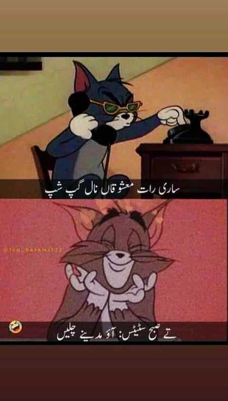 Memes & Satire image