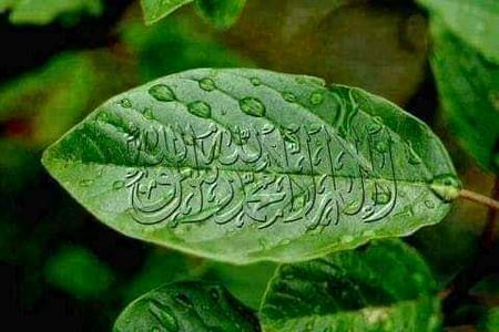 خاک میں مل جائیں گستاخ رسول سب کہہ دو آمین😇❤️Ameen 💕💕 Sum Ameeen
