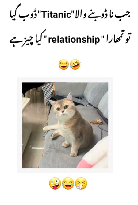 Memes & Satire image