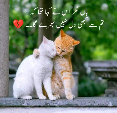 Sad Poetry image