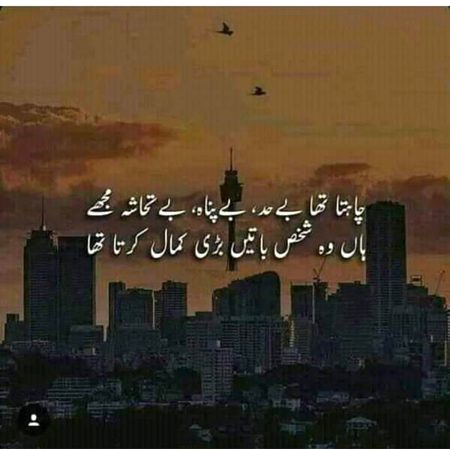 Lines😶😶
