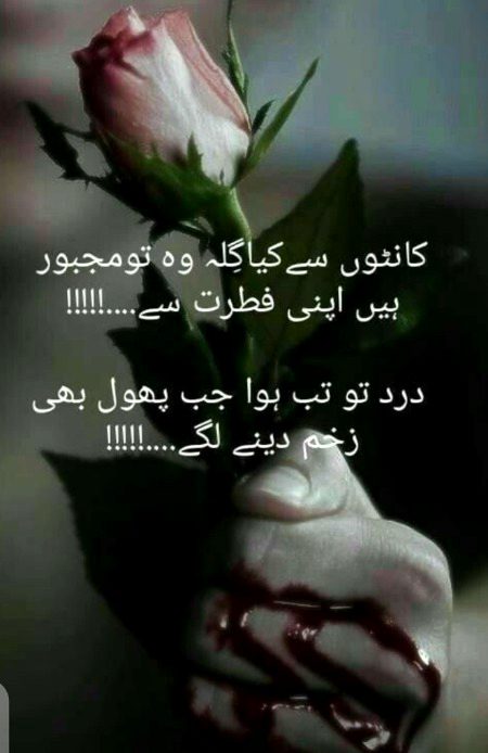 Sad Poetry image