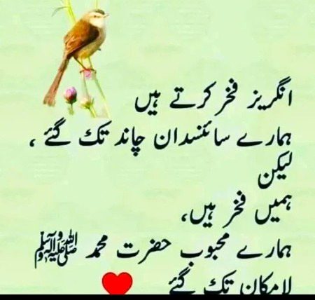 Islamic Quotes image