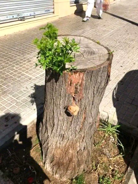 Beautiful Nature image