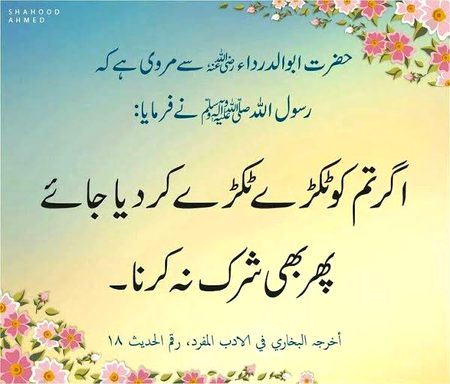 Shirk kabi na karna..