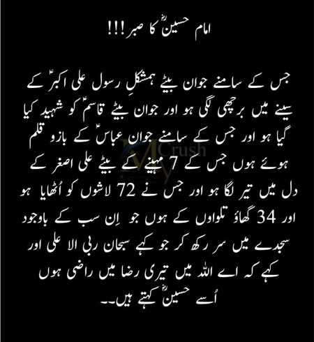 ❤💚💜❤💚💜❤💚💜