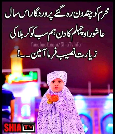 Ameen mola sb ko krbla ki ziyart naseeb frmay