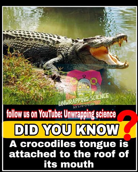 Interesting Posts image