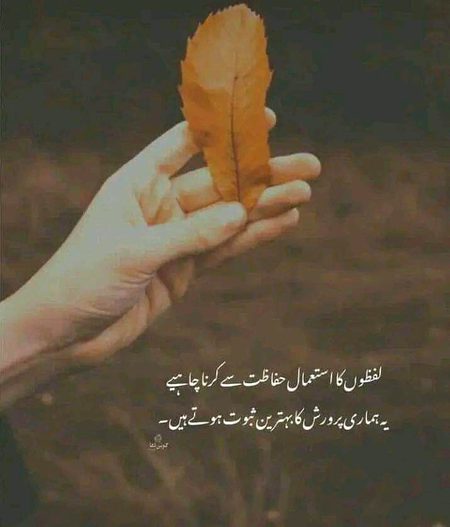 Life Advice image