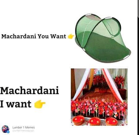 Machardani ⊙_⊙