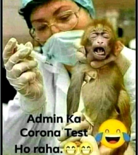 Dd walon COVID test karwa lo