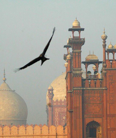 Beautiful Structures image