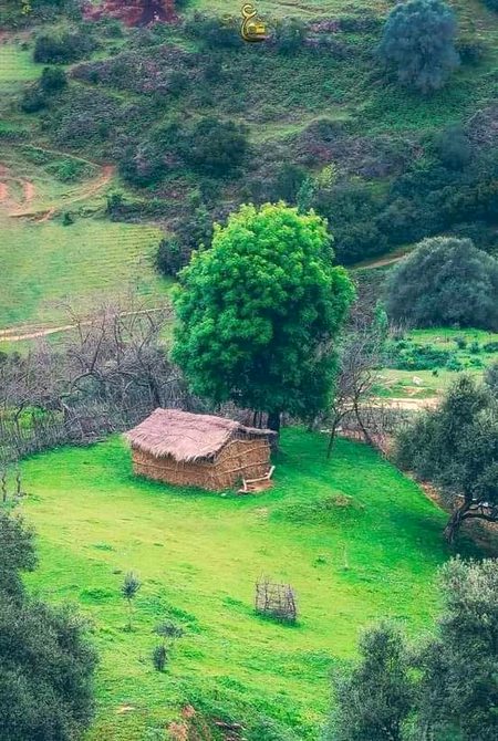 Beautiful Nature image