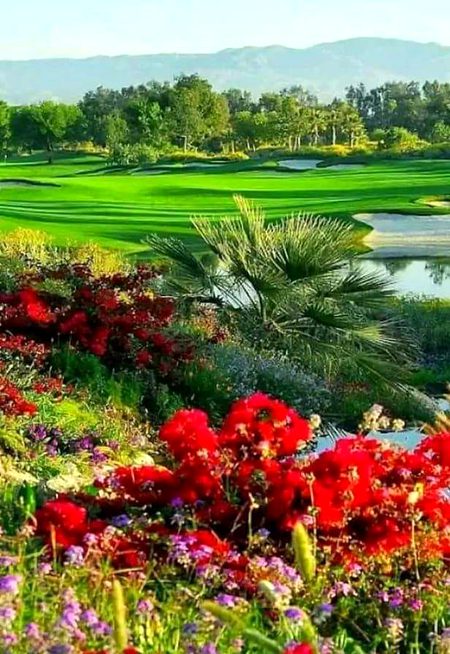 Beautiful Nature image