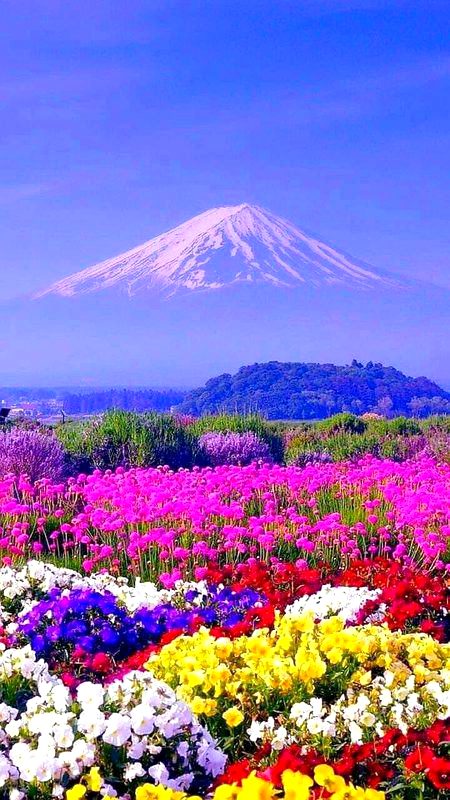 Beautiful Nature image