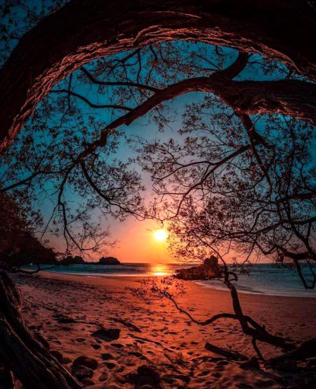 Beautiful Nature image