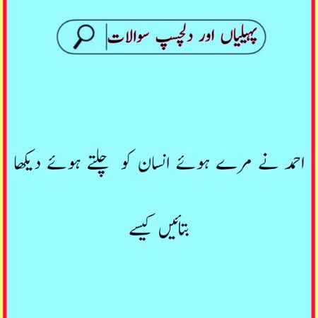 Riddles & Puzzles image