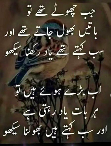 Saanaam ❣️❣️