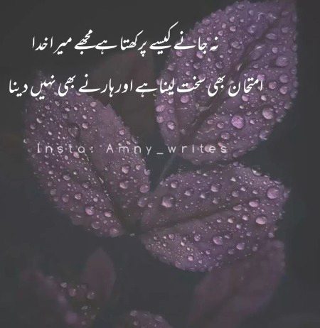 Motivational Quotes image
