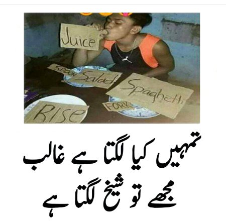 Memes & Satire image