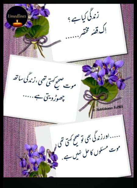 Allah Hafiz