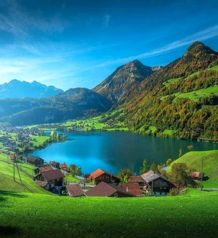 Beautiful Nature image