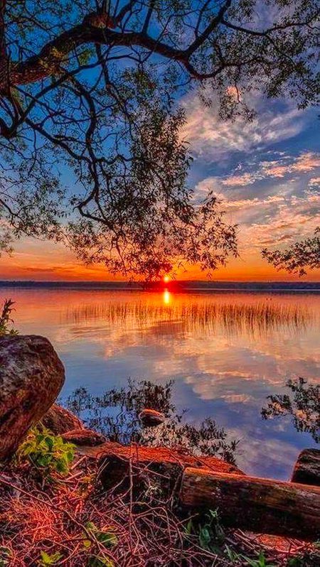 Beautiful Nature image