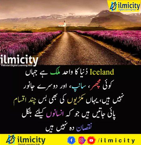 Interesting Posts image