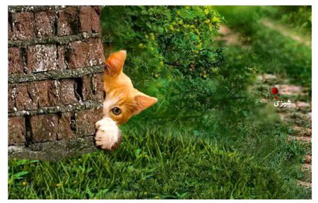 Beautiful Nature image