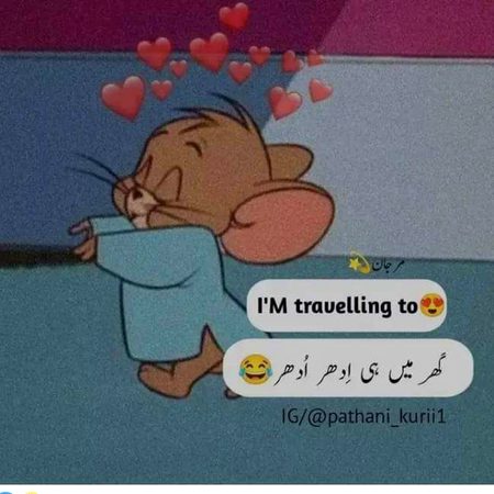 Ghr ma8n hi idhr udhr
