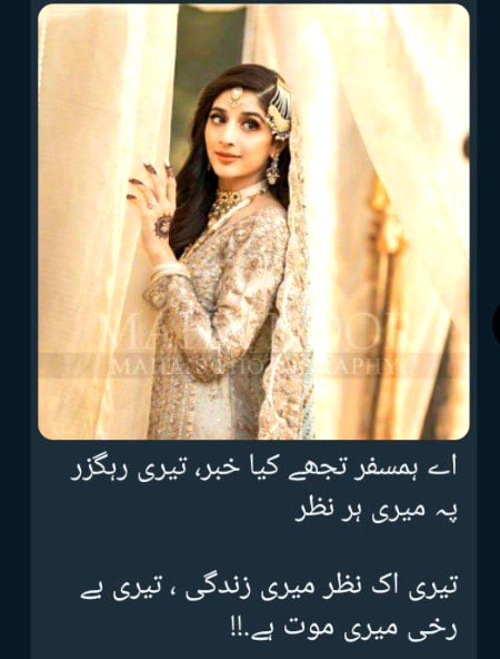 کاش اتنے وفا دار بھی ہوتے جتنے لوگ حسین ہوتے ہیں