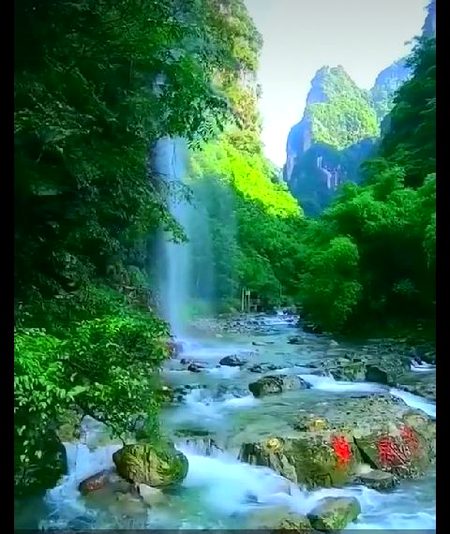 Beautiful Nature image