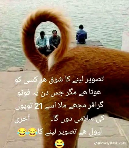Memes & Satire image